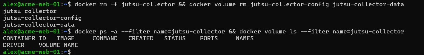 Figure 19. The collector container and its volumes are removed.